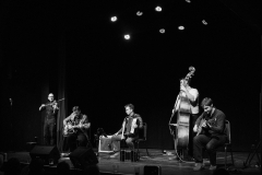 Swing-from-Paris-with-Mirek-Salmon-Cheltenham-Playhouse-Photo-Credit-David-Croker-Listen-to-Discover-16