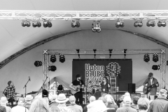 The-Swaps-Upton-Blues-Festival-Upton-on-Severn-Photo-Credit-David-Croker-Listen-to-Discover-10